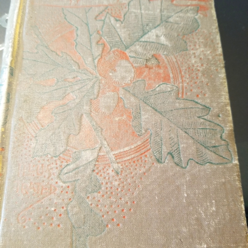 Vintage A Private Purse circa 1903